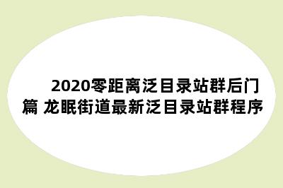 2020零距离泛目录站群后门篇 龙眠街道最新泛目录站群程序